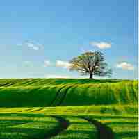 免﻿费‍c语​言‍教‌程‌视​频‍